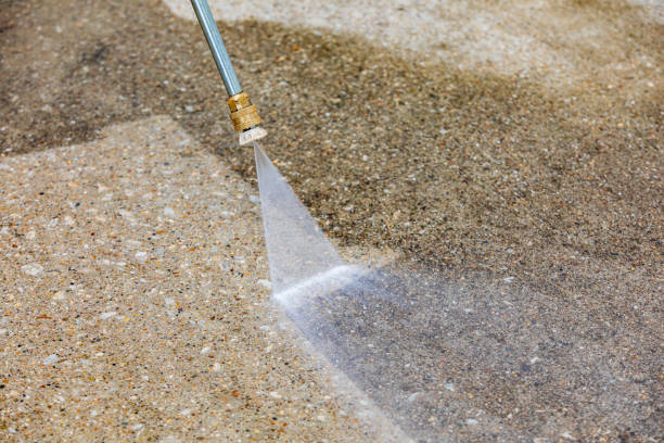 Best Roof Cleaning and Mildew Removal in Big River, CA